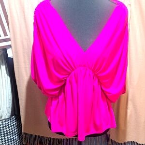 Express Fuchsia V-Neck Blouse